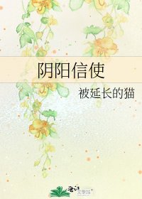阴阳信使